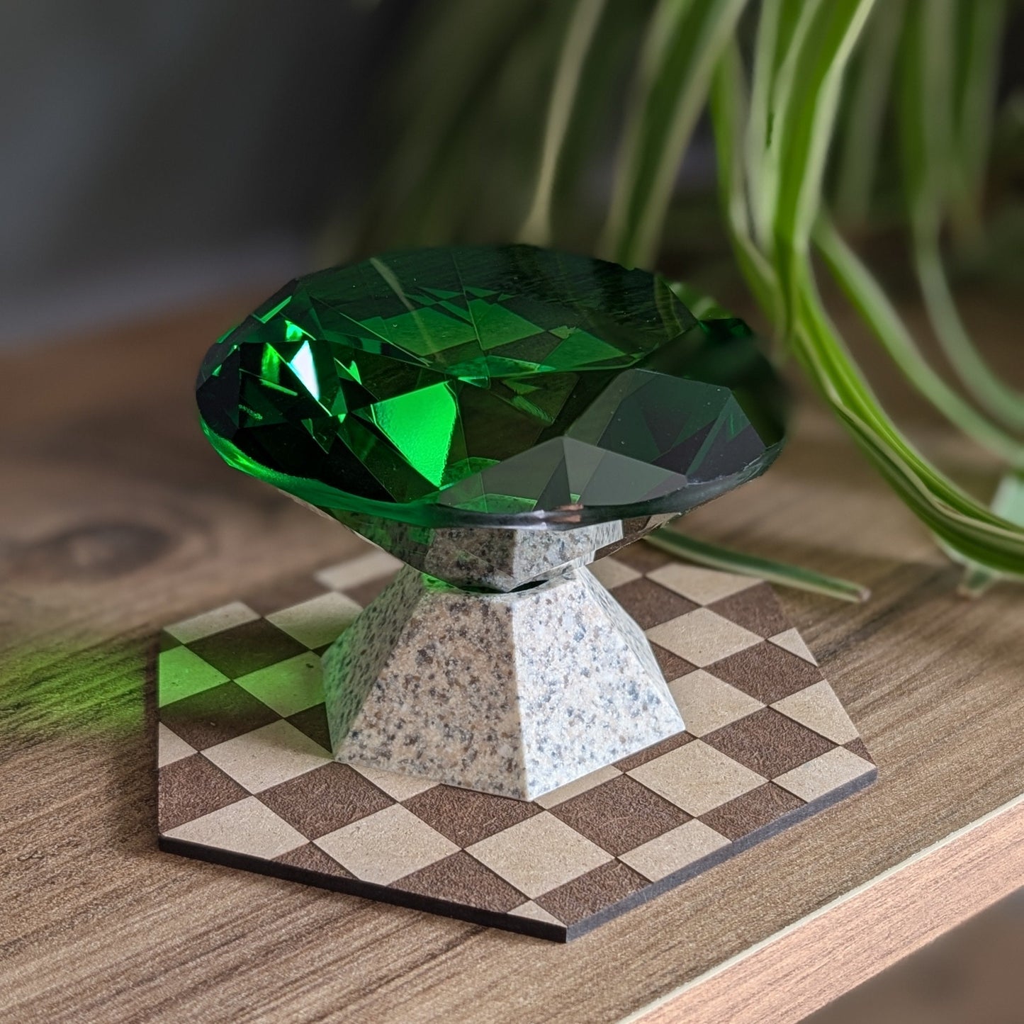 Master Emerald présentée sur étagère avec une plante d'intérieur.