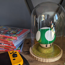 Charger l&#39;image dans la galerie, Champignons 1UP Vert N° 29/30 - Avec cloche en verre pour le protéger de la poussière
